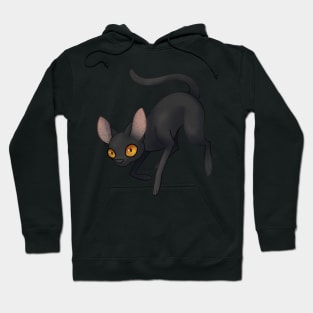 Cozy Bombay Cat Hoodie